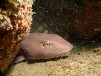 Secret Reef [ 2 images ]